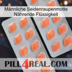 Männliche Seidenraupenmotte Nährende Flüssigkeit 27